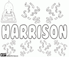 Harrisson, nom d'origine anglaise. Sa signification est le fils de Harry