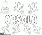Orsola, nom dérivé du Latin Orsa ou Ursula. Son sens est petit ours