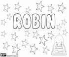 Robin, nom de diverses origines et significations. Robin, nom en diverses langues