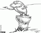 Une étrange créature de la forêt, le Lorax