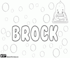 Brock, nom d'origine celtique. Son sens est comme un blaireau