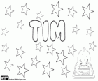 Tim, une forme abrégée du nom Timothy. Tim, nom diminutif utilisé dans plusieurs langues comme l'anglais et l'allemand entre autres