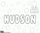 Hudson, nom d'origine anglaise. Sa signification est le fils de Hugh