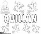 Quillan, nom d'origine gaélique. Variante de Quillen