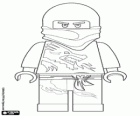 Un guerrier ninja, Lego Ninjago