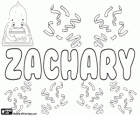 Zachary, nom d'origine hébraïque. Sa signification est Dieu s'est souvenu