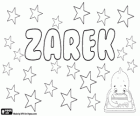 Zarek, nom de diverses origines. Zarek, nom polonais
