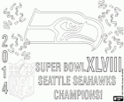 Seattle Seahawks, Champions Super Bowl 2014