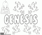 Genesis, nom d'origine hébraïque. Sa signification est origine