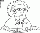Buste de Franz Peter Schubert. Célèbre compositeur autrichien, né en 1797 et mort en 1828