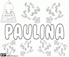 Paulina, nom d'origine latine. Féminin singulier de Paulinus