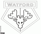 Insigne de Watford FC. Les Hornets