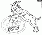 Emblème du 1. FC Köln. Club de football de la ville de Cologne, Rhénanie du Nord-Westphalie
