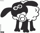 Timmy, le mouton bébé avec la tétine dans la bouche