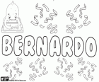 Bernardo, forme latinisée du nom germanique Bernhard. Sa signification est forte comme un ours. Bernardo, nom masculin en espagnol, portugais et italien