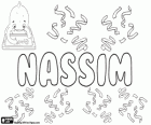 Nassim, nom d'origine arabe. Sa signification est jeu d'enfant. Le nom arabe est habituellement écrit également Nasim, Nacim, Nassem, Nesim ou Nessim dans l'alphabet Latin