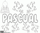 Pascual, enfant du nom d'origine latine. Vient de Paschalis, dont la signification est par rapport à Pâques