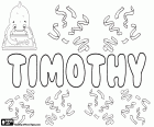 Timothy, nom anglais d'origine grecque. Dérivé du nom grec, Timotheos. Sa signification est honorée par Dieu ou en l'honneur de Dieu