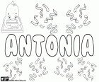Antonia, nom dérivé du Latin Antonius. Antonia, forme féminine de Antonio. Nom existant dans de nombreuses langues
