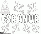 Esranur, nom turc pour fille. Nom d'origine arabe composé de Esra et Nur