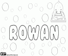 Rowan, nom irlandais et anglais. Rowan, nom pour garçon qui sert aussi pour fille