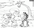 Les quatre animaux protagonistes de Madagascar 2: La grande évasion. Alex le Lion, Marty le zèbre, Melman la girafe, Gloria l'hippopotame dans la savane africaine