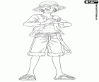 Le capitaine Monkey D. Luffy avec son célèbre chapeau de paille sur la tête à One Piece New World