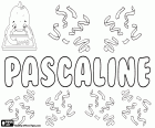 Pascaline, nom français pour les filles. Pascaline, variante de Pascale, forme féminine de Pascal. Toute la ces derniers sont des noms dérivés du Latin Paschalis qui signifie pascal, en rapport avec Pâques