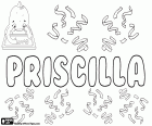 Priscilla, variante de Priscile, Priscila et Pryscylla. Priscilla, nom de jeune fille d'origine latine. Priscilla, nom biblique, personnage du Nouveau Testament
