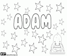 Adam, nom masculin d'origine biblique, nom du premier homme créé par Dieu. Adam, nom dans de nombreuses langues qui provient du même mot hébreu qui signifie homme ou l'être humain