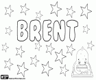 Brent, nom masculin d'origine anglaise. Brent, également utilisé comme un diminutif de Brenton. Brent, un nom de famille anglais avec plusieurs origines possibles