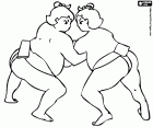 Un combat de sumo, sport de lutte japonais. La zone de combat, avec une forme circulaire faite d'argile et de sable, s'appelle dohyō