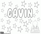 Gavin, nom masculin en anglais, français et écossais qui vient du nom médiéval Gauvain