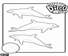 Diego et leurs trois dauphins à apprendre le nombre 3