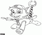 Rocky est un chien sans race définie de la patrouille canine Paw Patrol. Rocky a toujours collecte, recycle et réutilise, le chien de recyclage