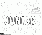 Junior, nom masculin d'origine latine, leur signification est la plus jeune. Junior, initialement utilisé en anglais pour le fils qui avait le même nom que son père, également utilisé comme prénom
