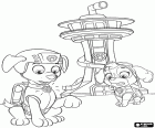 Zuma et Skye sont à l'extérieur du siège des Paw Patrol. Les chiots reçoivent le signal d'alerte dans leurs colliers interactives
