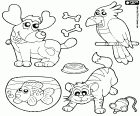 Coloriage avec quatre animaux domestiques ou des animaux de compagnie, comme un chien avec votre repas, un chat avec sa souris jouet, un cacatoès et un poisson rouge