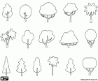 Petits dessins avec différents types d'arbres selon leur forme