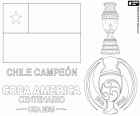 Chili, deux fois champion de la Copa America 2015 et 2016. L’équipe de football du Chili est le champion de la Copa America Centenario 2016, il a battu l’Argentine dans les tirs au but, le résultat du match était de 0-0. Les Chiliens Alexis Sanchez a été le meilleur joueur du tournoi, Claudio Bravo a été le meilleur gardien de but et Eduardo Vargas a été le meilleur buteur