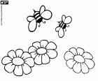 Les abeilles et les fleurs sont essentielles pour la production de miel. Abeilles produisent le miel à partir du nectar des fleurs. Il existe différents types de miel selon le type de fleurs