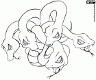 L'Hydre est une créature mythique sous la forme d’un serpent à plusieurs têtes dans la mythologie grecque et romaine
