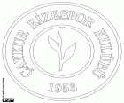 Logo de Çaykur Rizespor Kulübü, Caykur Rize Spor Kulübü, club sportif de Rize, ville côtière dans l’est de la région de la mer Noire et la capitale de la province homonyme