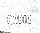 Qadir, nom masculin d’origine arabe, variante de noms comme Kadir, Kader, Qader et Ghader parmi d’autres