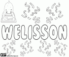 Welisson, nom masculin d’origine inconnue utilisé au Brésil, variante de Wellisson et Welison