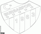 Insigne de Bursa Spor Kulübü, Bursaspor Kulübü, club de football dont le siège est à Bursa, ville du Nord-Ouest de l’Anatolie et capitale de la province du même nom
