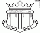 Emblème de Miejski Klub Sportowy Sandecja Nowy Sącz, club de football basé à Nowy Sącz, ville à la confluence des rivières Kamienica et Dunajec, dans le sud de la Pologne dans la Voïvodie de Petite-Pologne