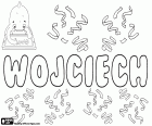 Wojciech, nom polonais pour garçon avec des variantes comme Wojtek, Wojtuś et Wojcio entre autres
