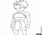 Alexiia, un Saiyan s univers 6, un nouveau personnage de Dragon Ball Super