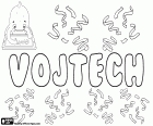 Vojtech, nom masculin d’origine slave. Vojtěch, nom pour garçon très populaire en République tchèque. Vojtech, nom slovaque pour garçon